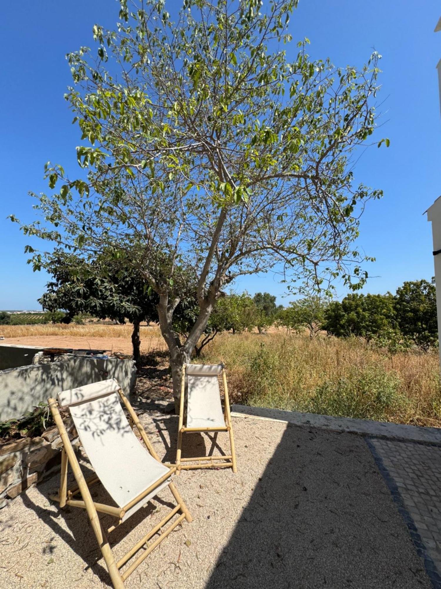 Quinta Castor Vila Vila Nova de Cacela Exterior foto