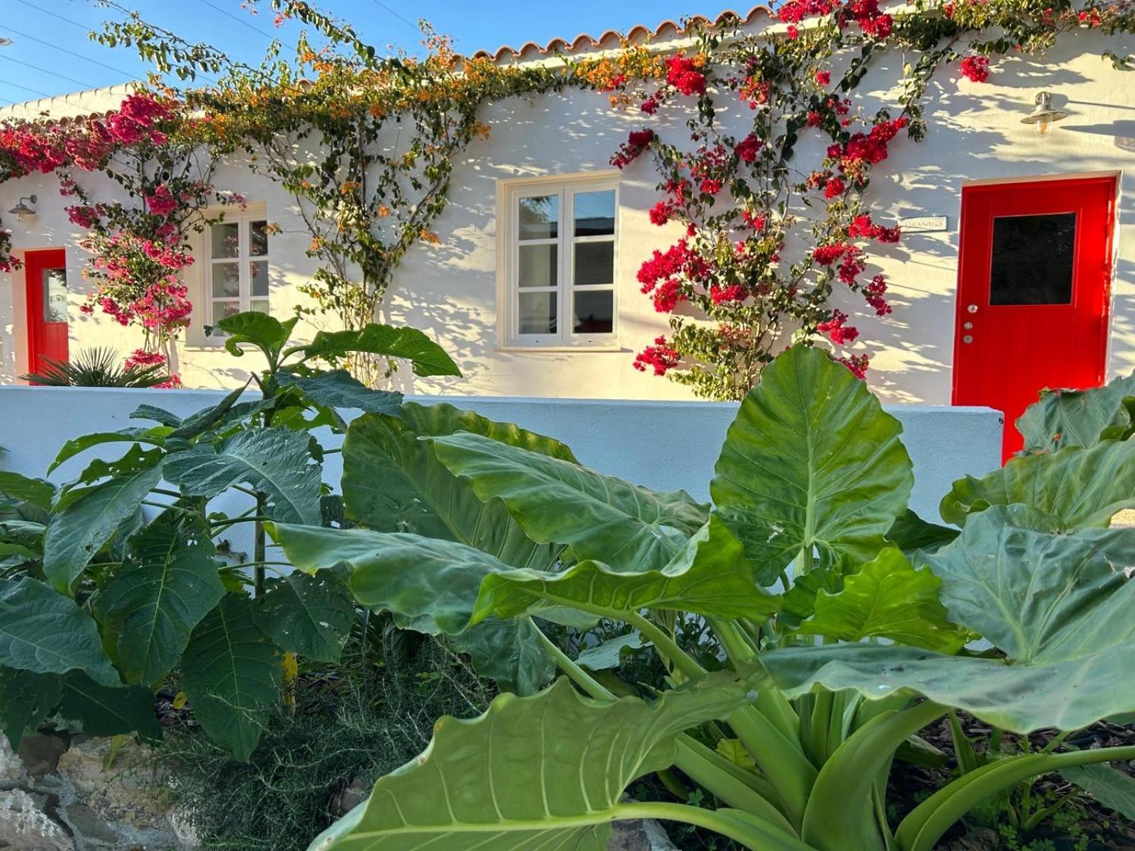Quinta Castor Vila Vila Nova de Cacela Exterior foto